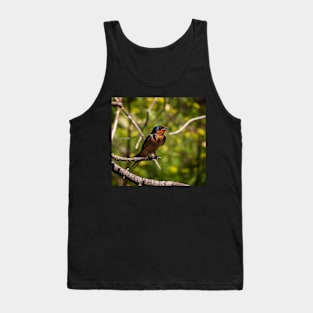 Barn Swallow Singing in a Tree Tank Top